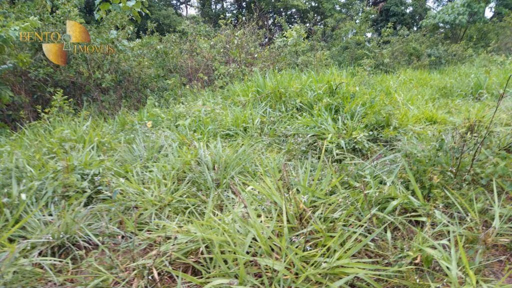 Fazenda de 419 ha em Nobres, MT