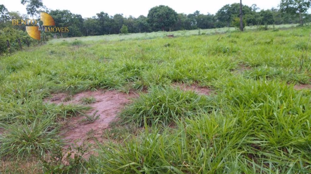 Fazenda de 419 ha em Nobres, MT