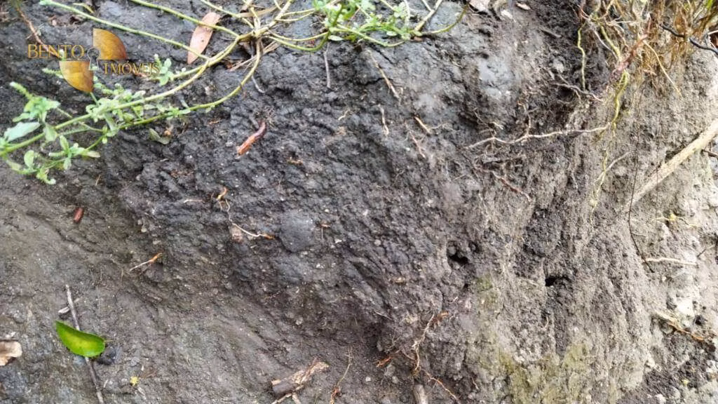 Fazenda de 419 ha em Nobres, MT