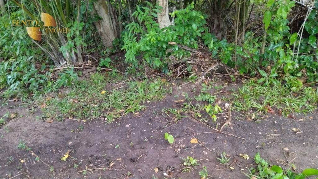 Fazenda de 419 ha em Nobres, MT