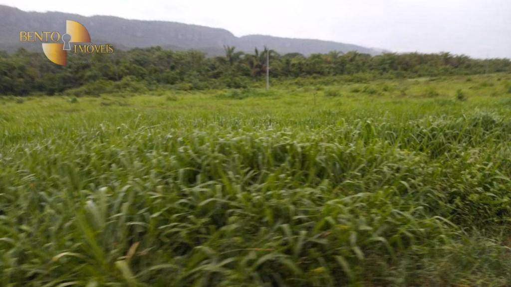 Fazenda de 419 ha em Nobres, MT