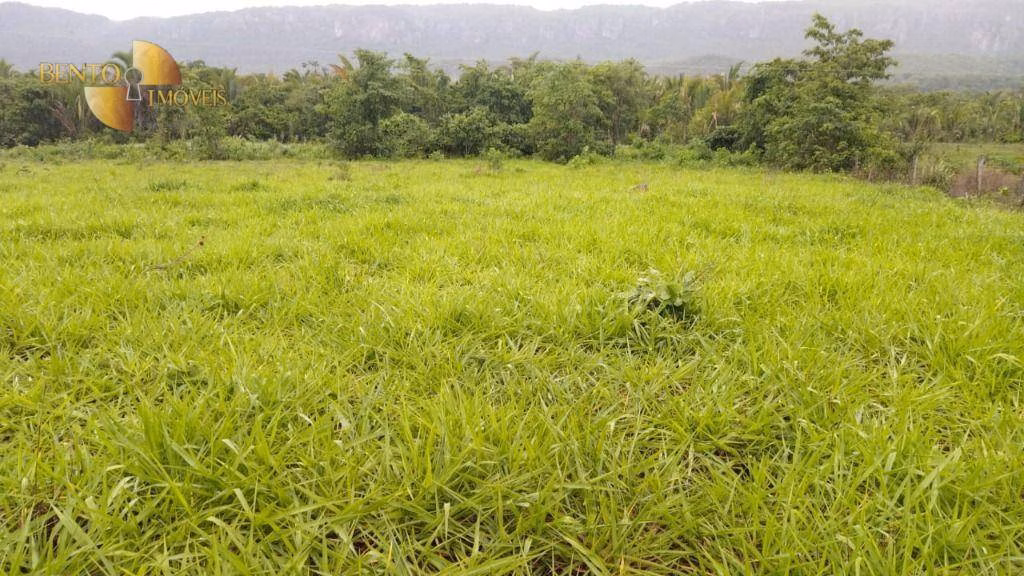 Fazenda de 419 ha em Nobres, MT