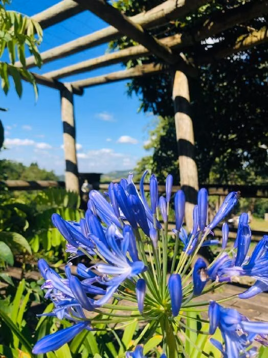 Sítio de 2 ha em São Roque, SP