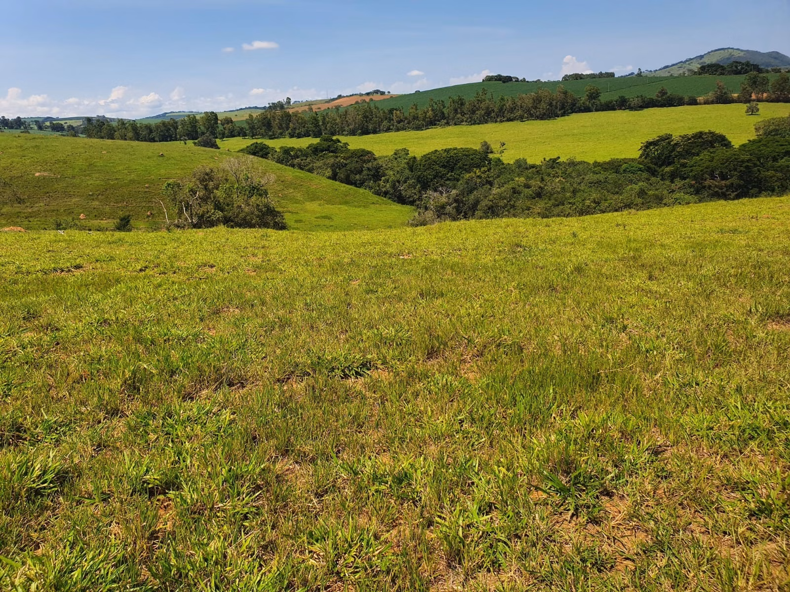 Fazenda de 248 ha em Cruzília, MG