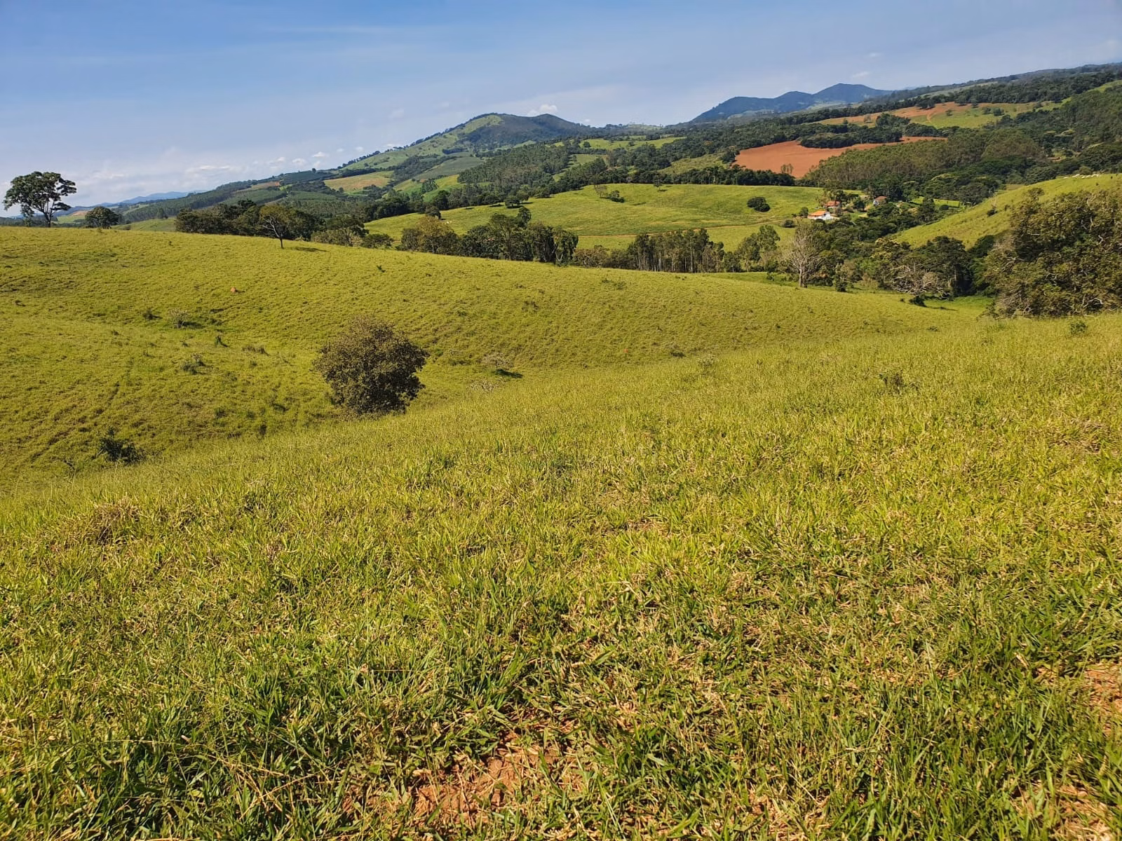 Fazenda de 248 ha em Cruzília, MG