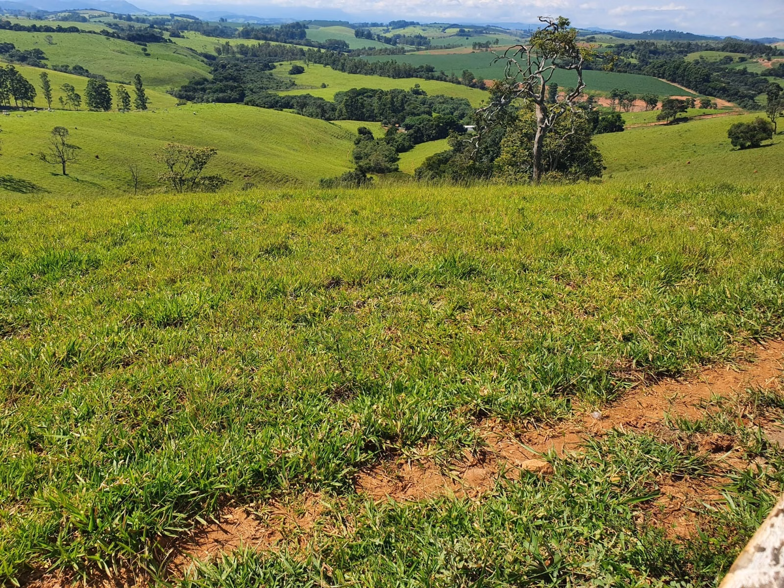 Fazenda de 248 ha em Cruzília, MG
