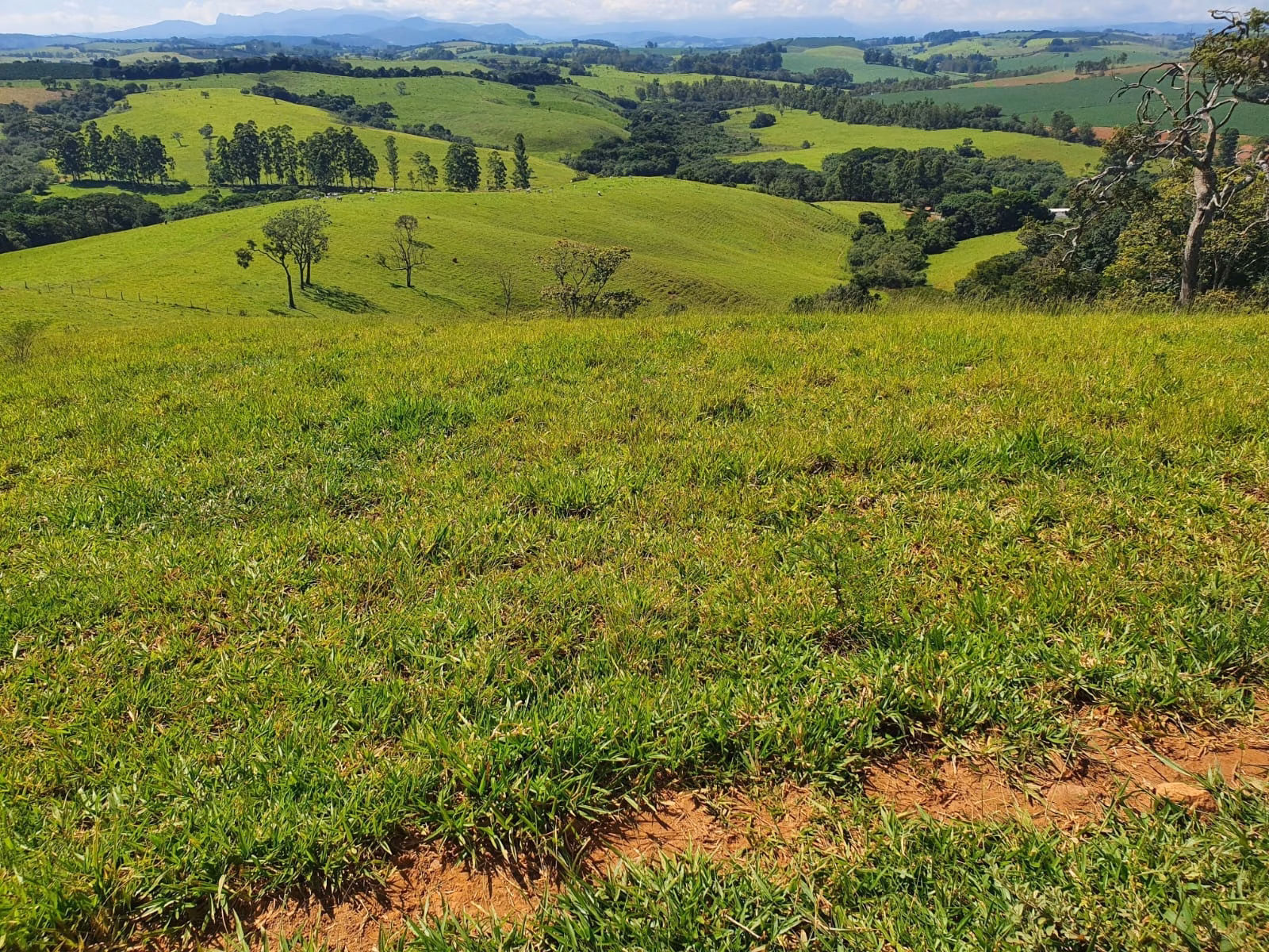 Fazenda de 248 ha em Cruzília, MG