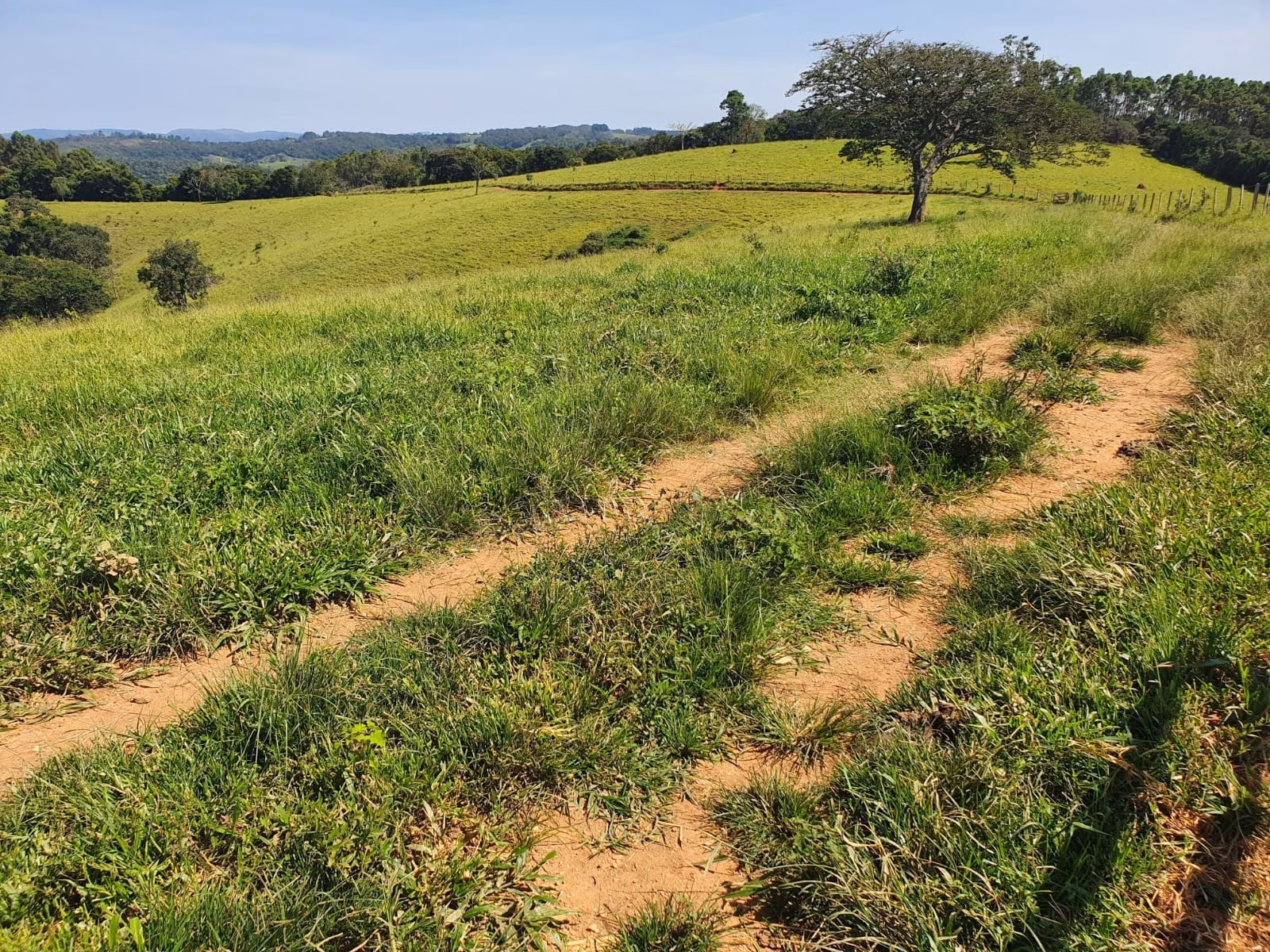 Fazenda de 248 ha em Cruzília, MG