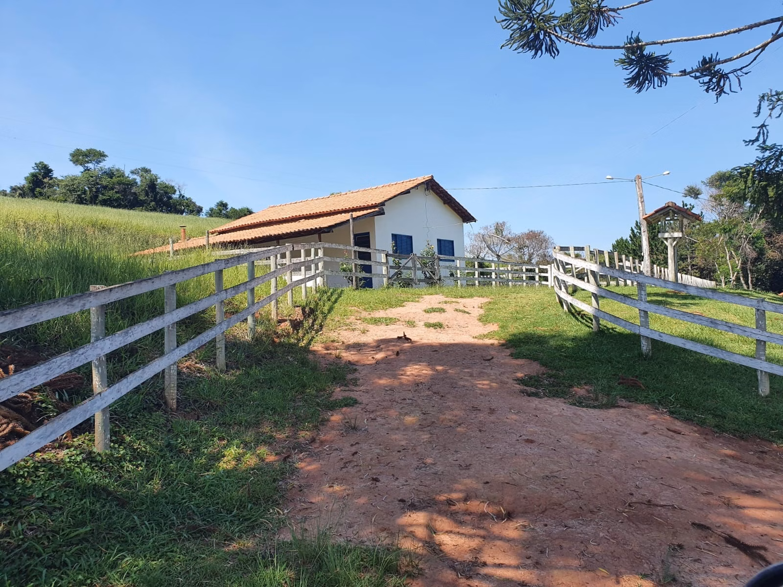 Fazenda de 248 ha em Cruzília, MG