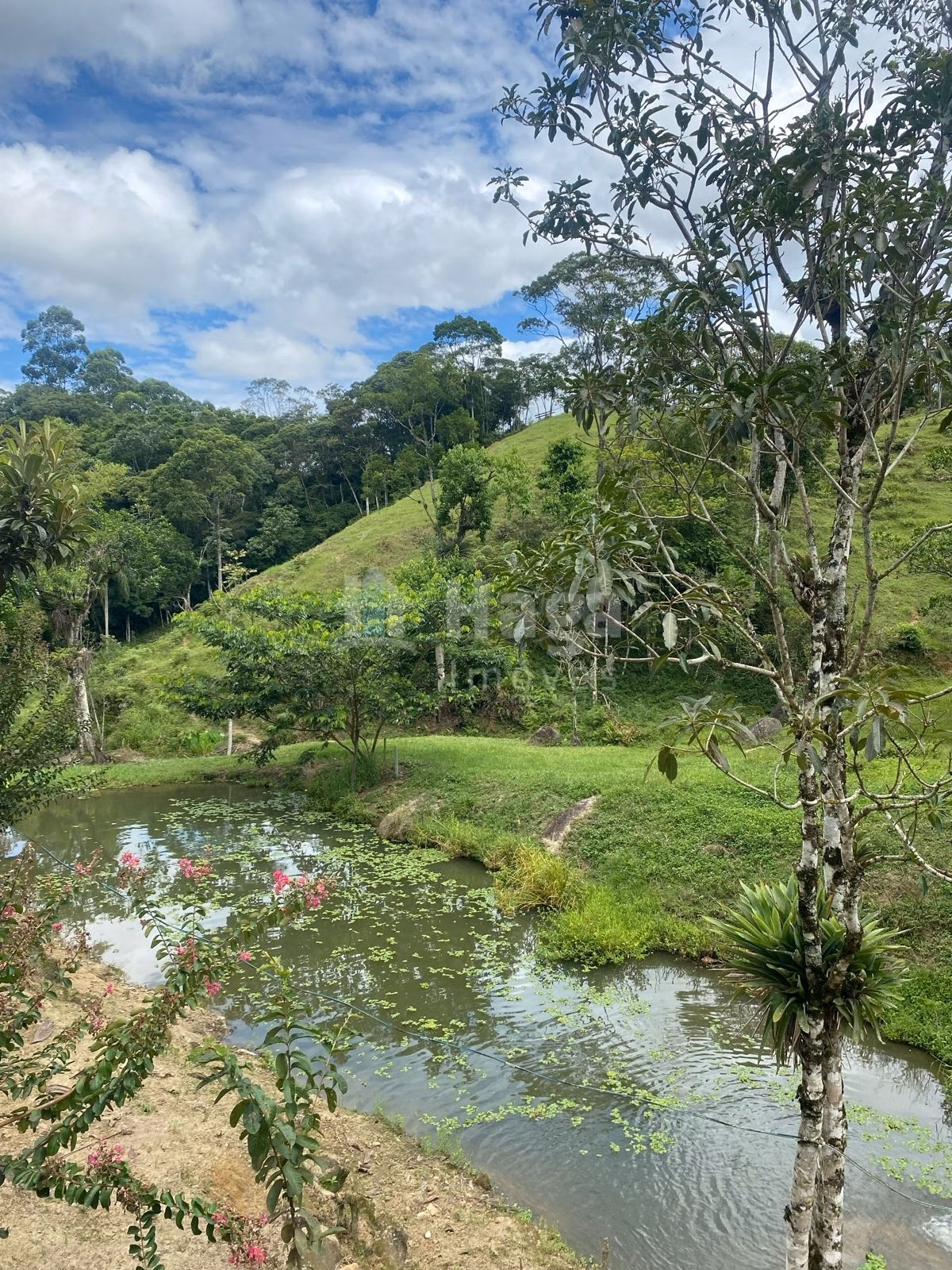 Farm of 47 acres in Canelinha, SC, Brazil