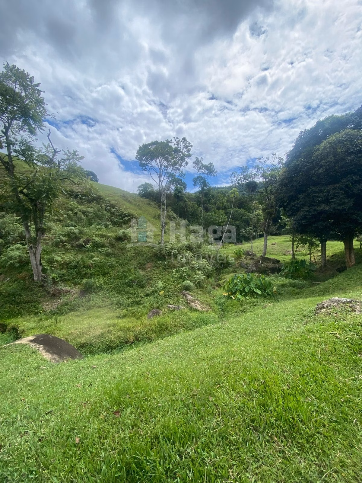Farm of 47 acres in Canelinha, SC, Brazil
