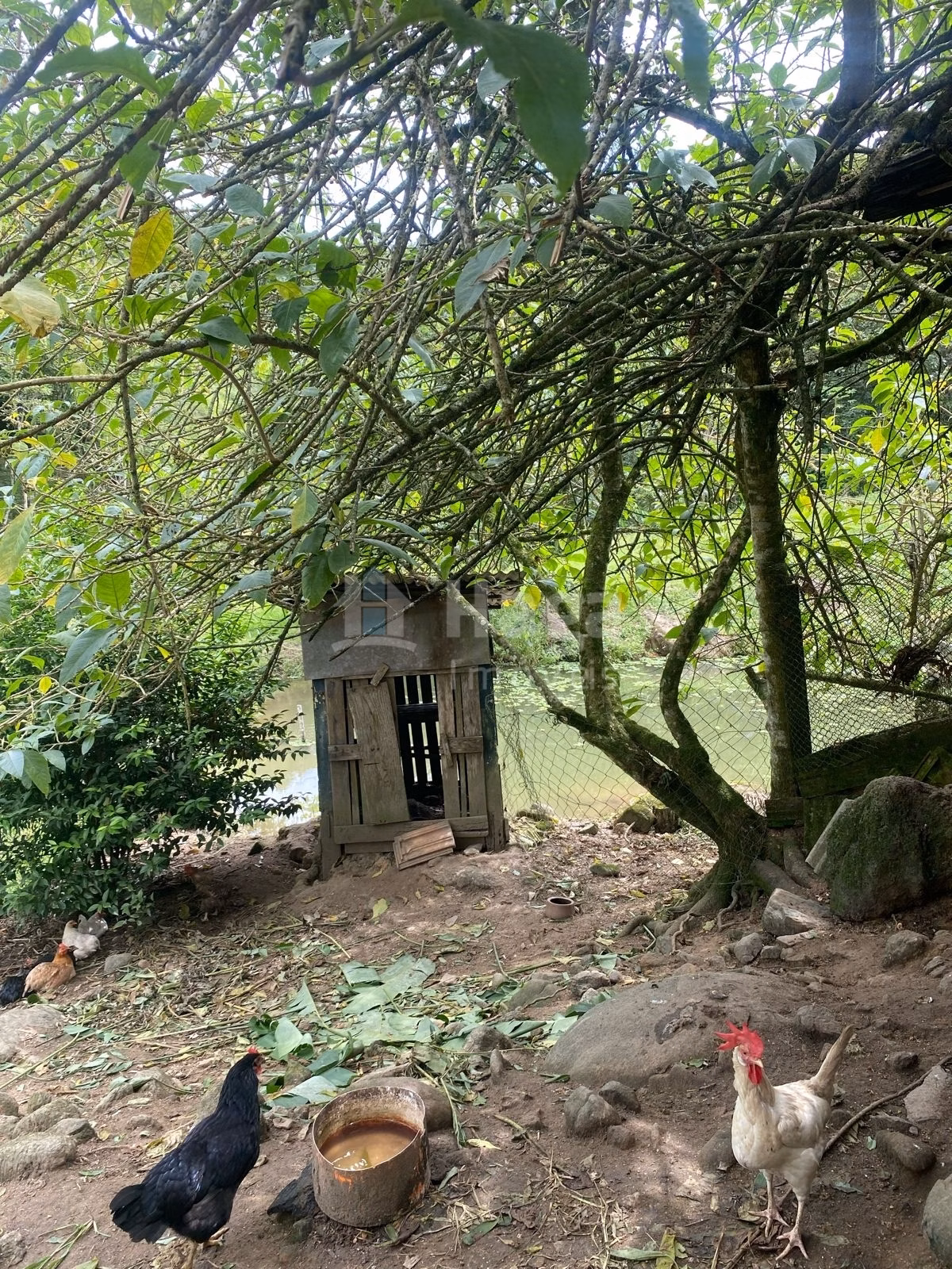 Farm of 47 acres in Canelinha, SC, Brazil