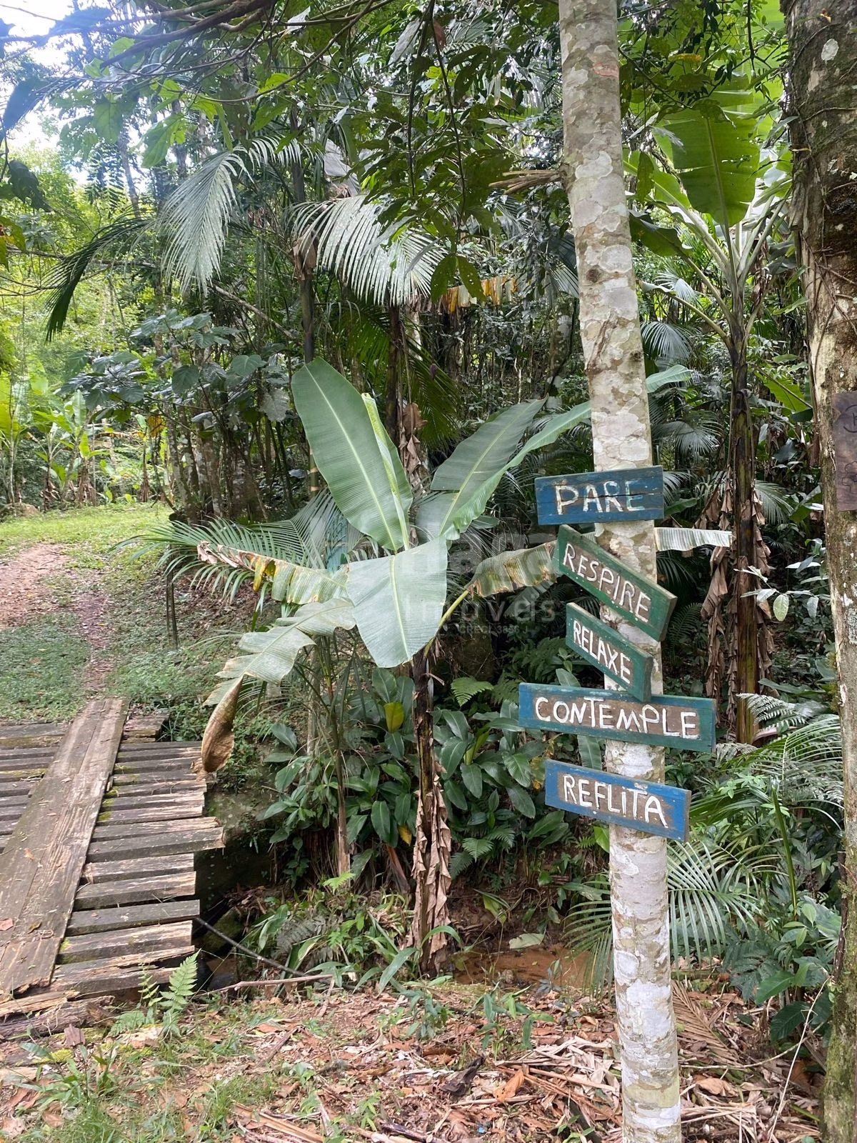 Farm of 47 acres in Canelinha, SC, Brazil