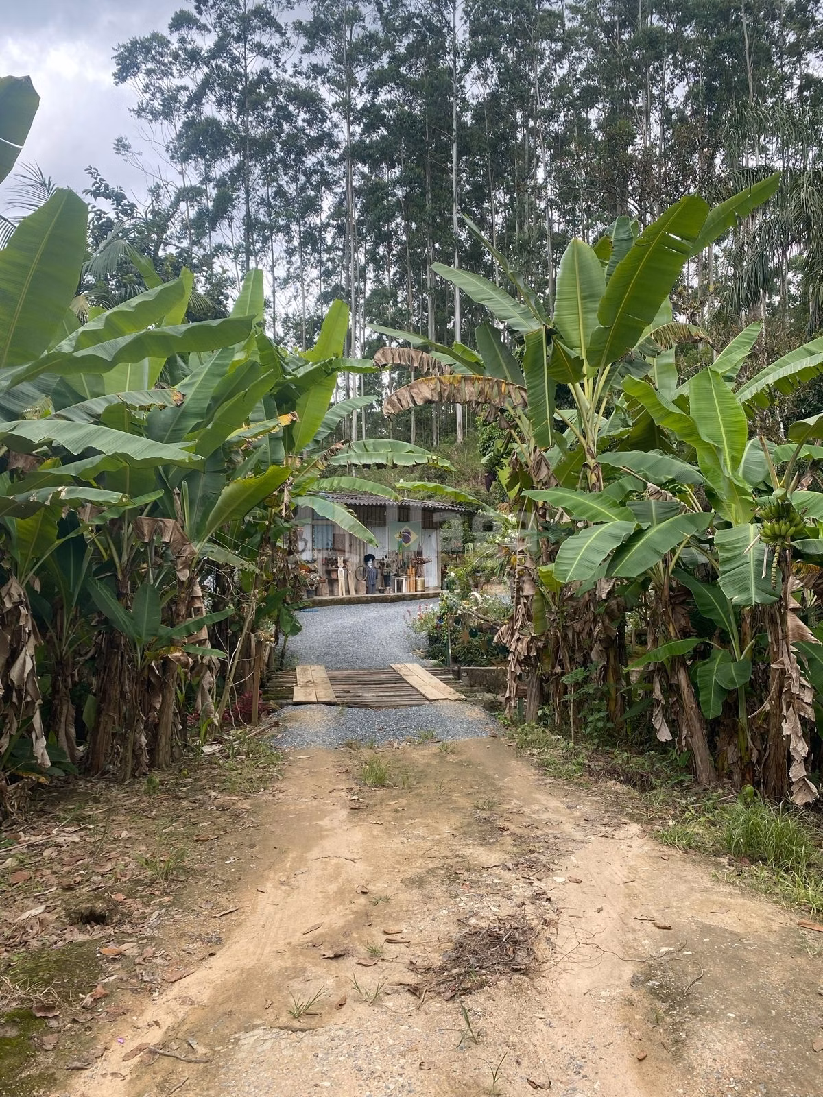 Farm of 47 acres in Canelinha, SC, Brazil