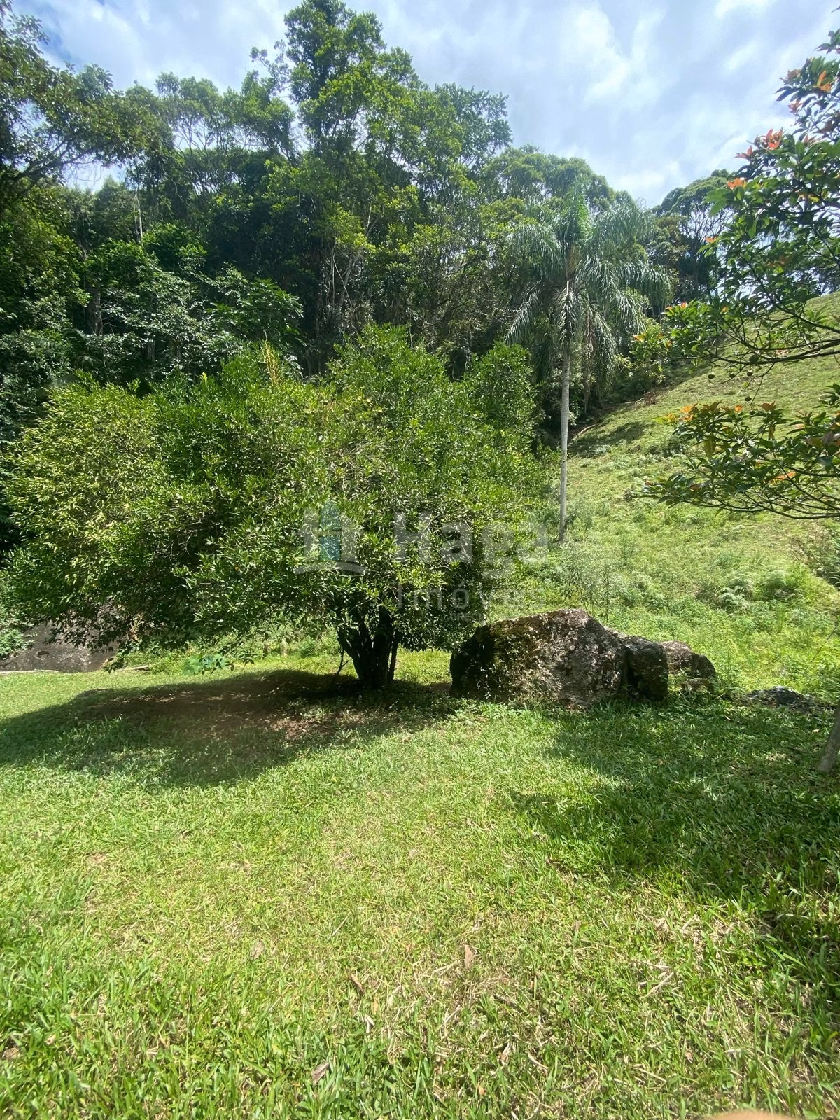 Farm of 47 acres in Canelinha, SC, Brazil