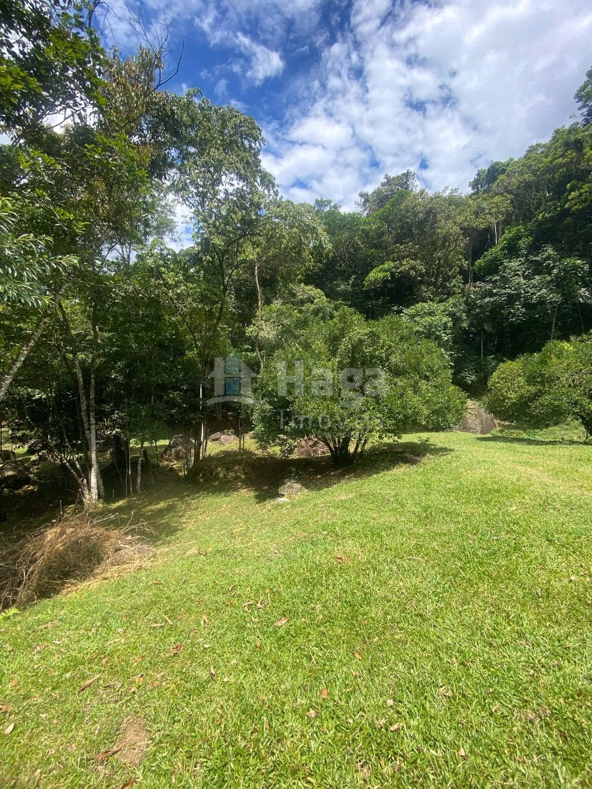 Farm of 47 acres in Canelinha, SC, Brazil