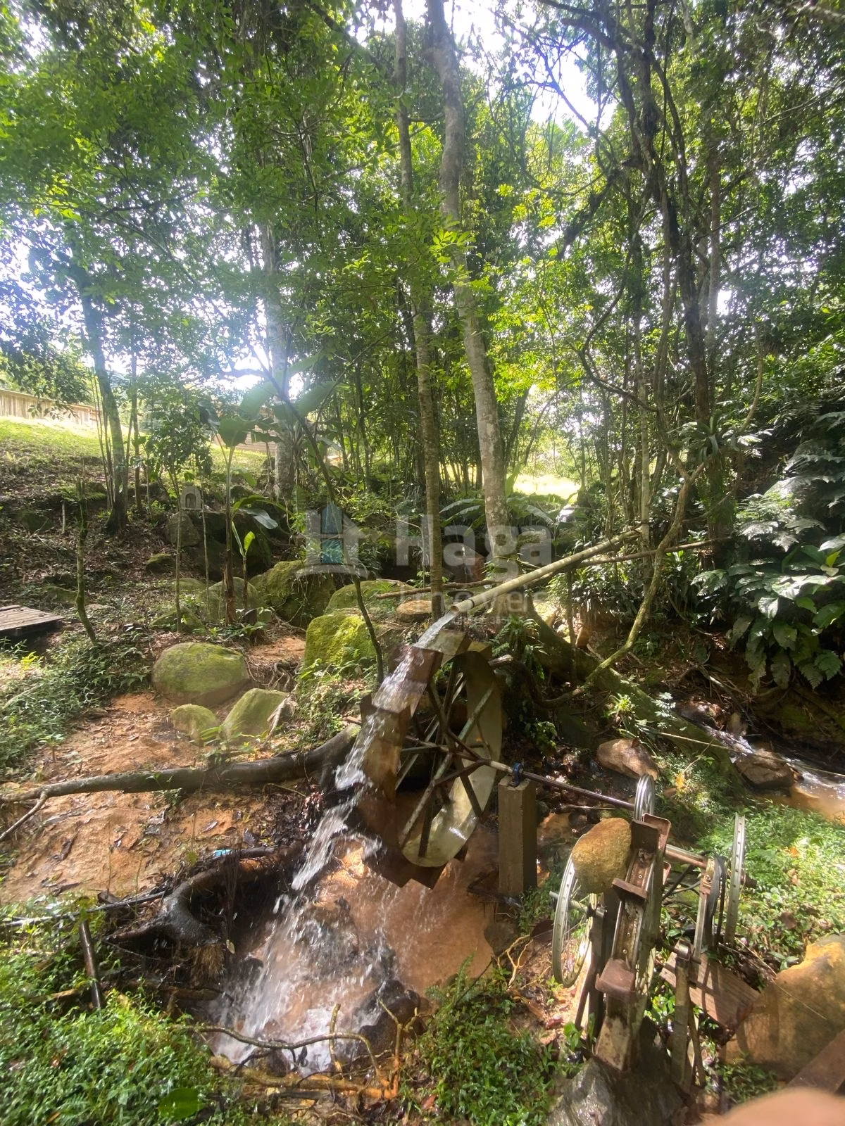 Farm of 47 acres in Canelinha, SC, Brazil