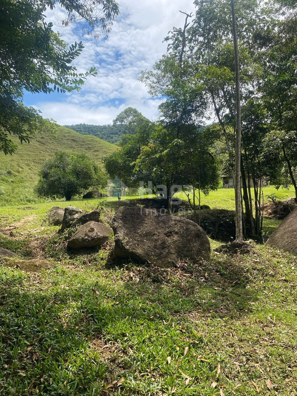 Farm of 47 acres in Canelinha, SC, Brazil