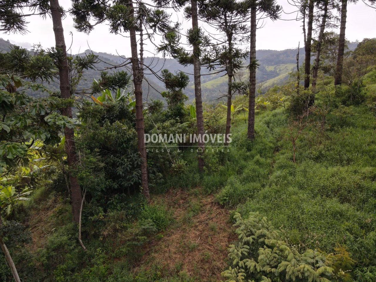 Terreno de 4,100 m² em Campos do Jordão, SP