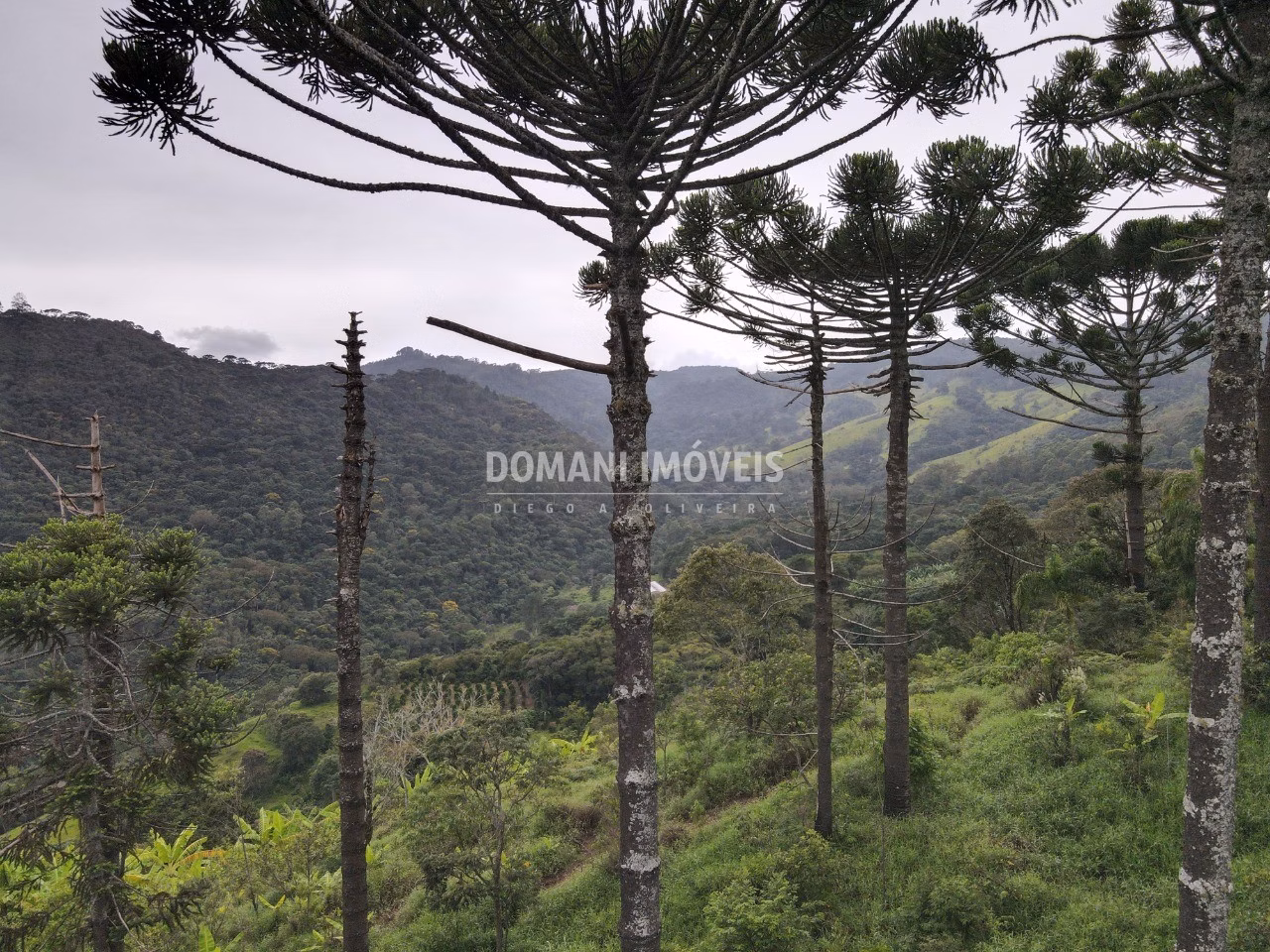 Terreno de 4,100 m² em Campos do Jordão, SP