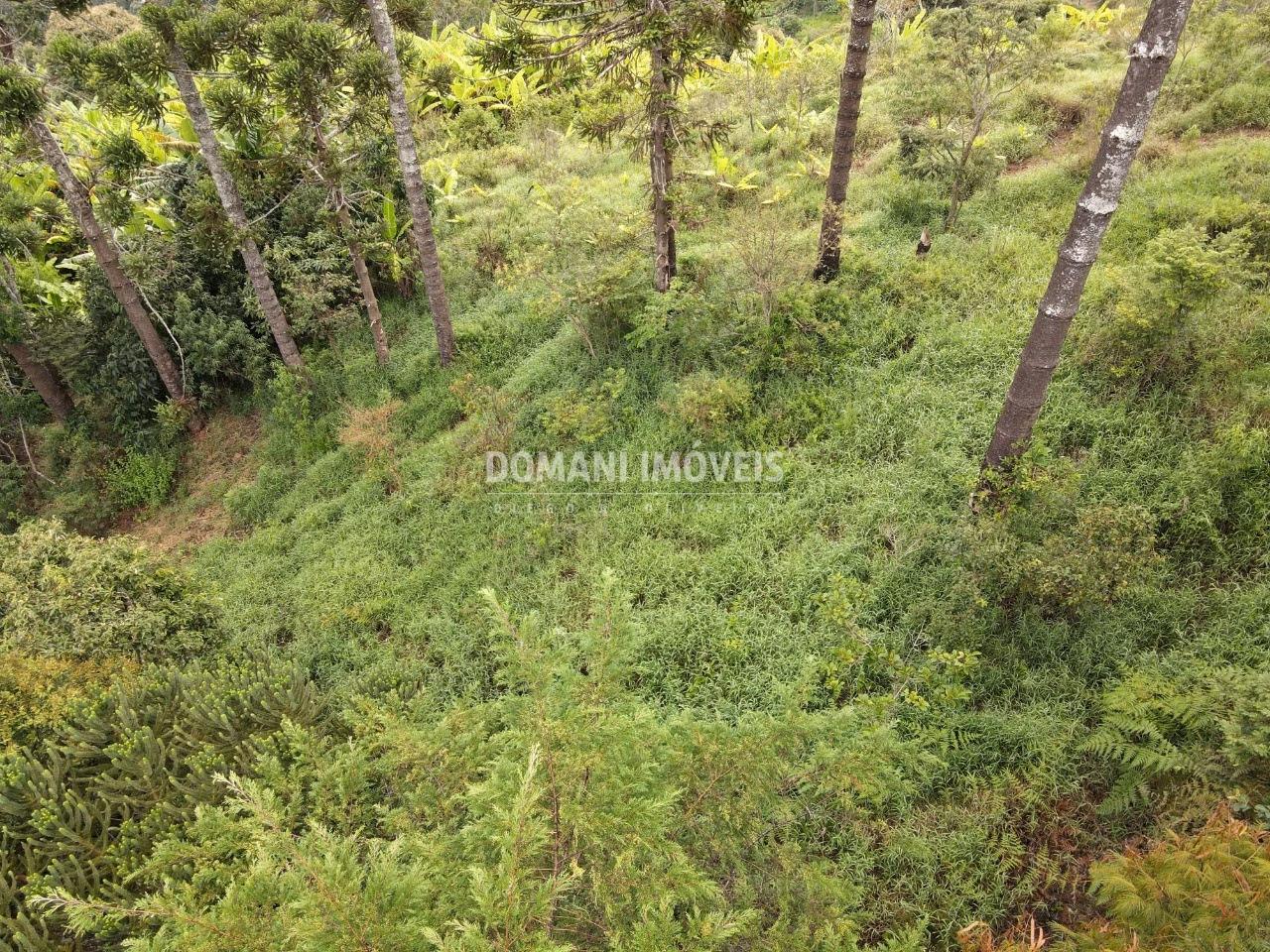 Terreno de 4.100 m² em Campos do Jordão, SP