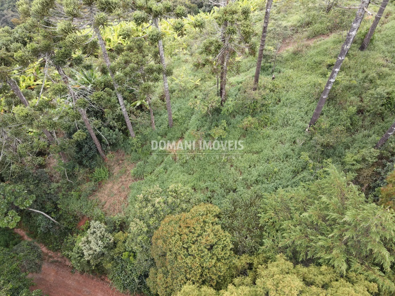 Terreno de 4,100 m² em Campos do Jordão, SP