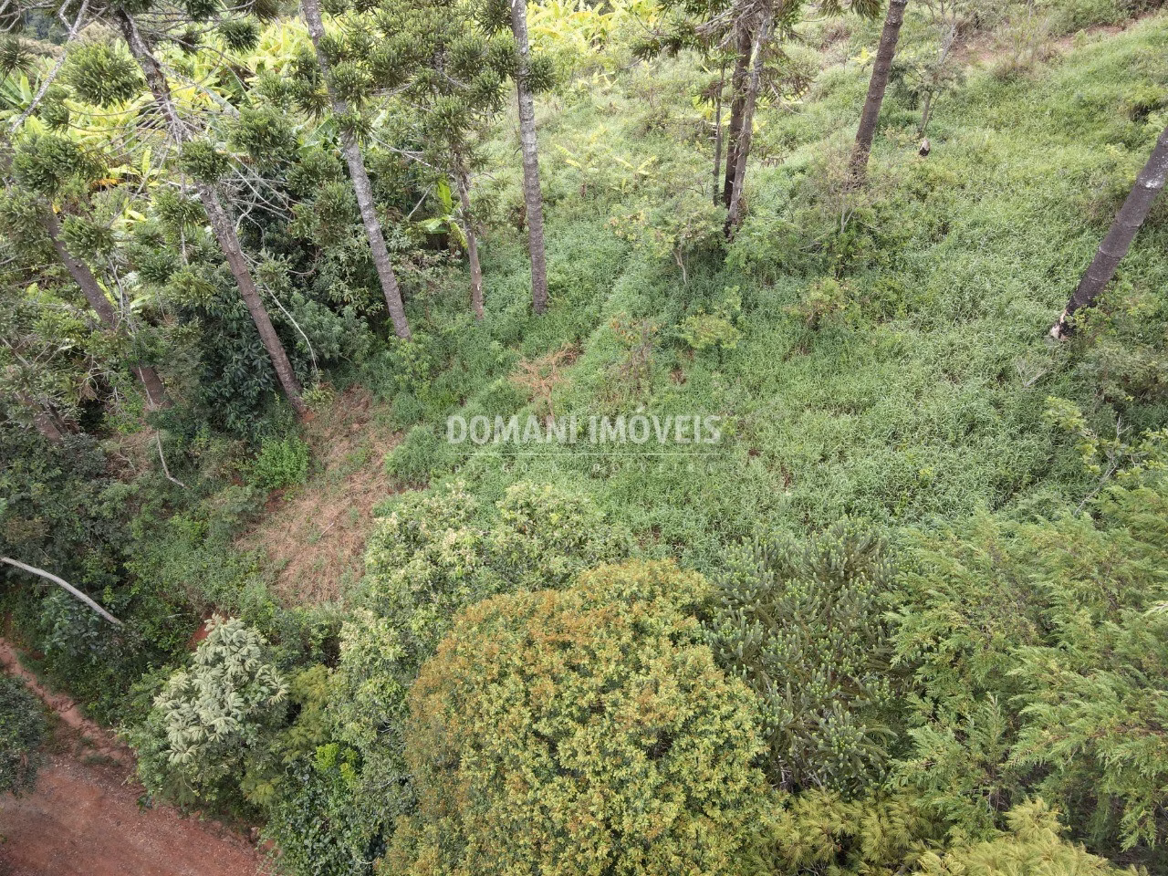 Terreno de 4,100 m² em Campos do Jordão, SP