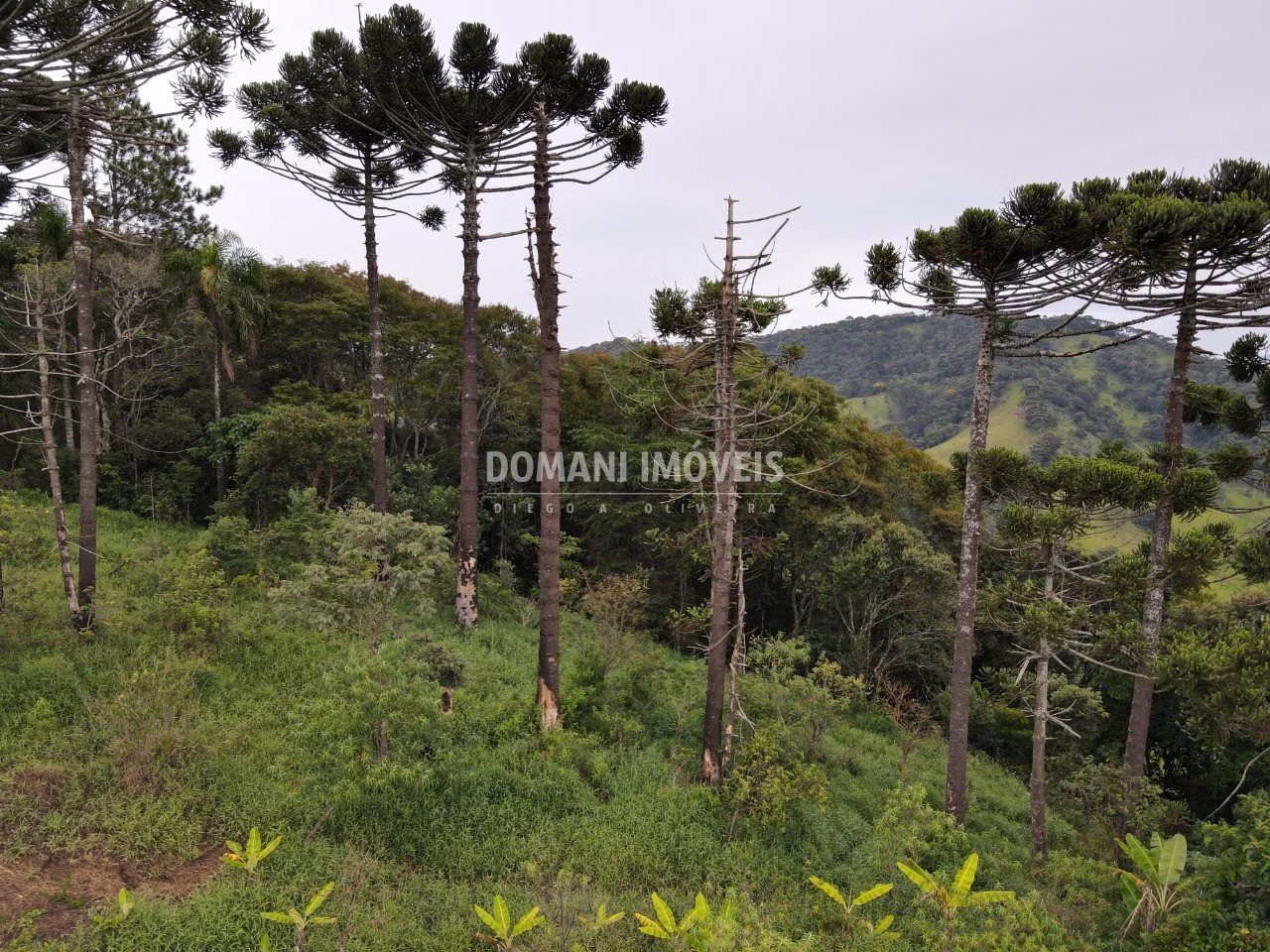 Terreno de 4,100 m² em Campos do Jordão, SP