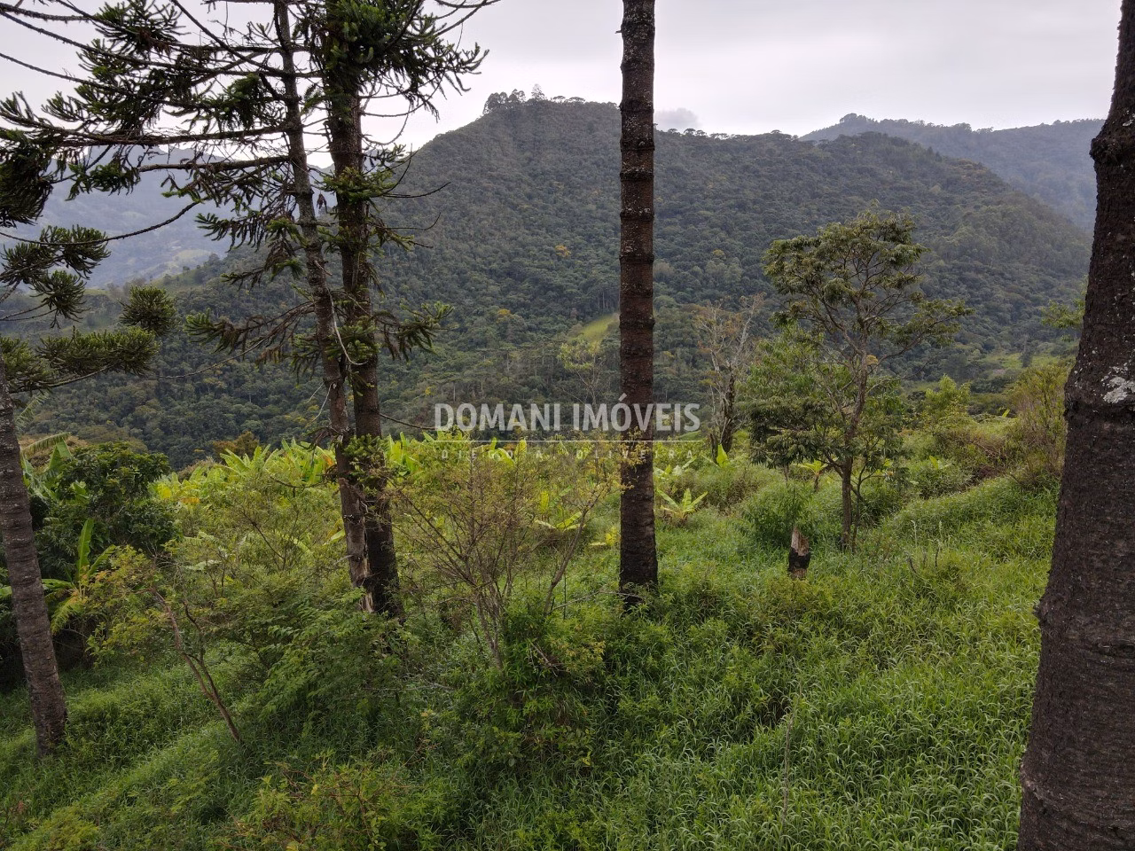 Terreno de 4,100 m² em Campos do Jordão, SP