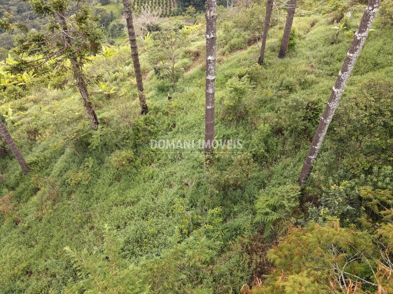 Terreno de 4,100 m² em Campos do Jordão, SP