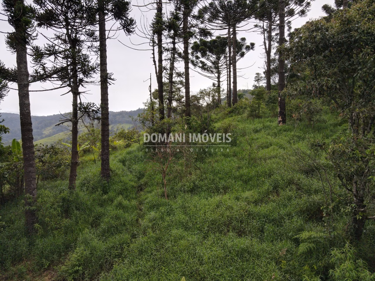 Terreno de 4,100 m² em Campos do Jordão, SP