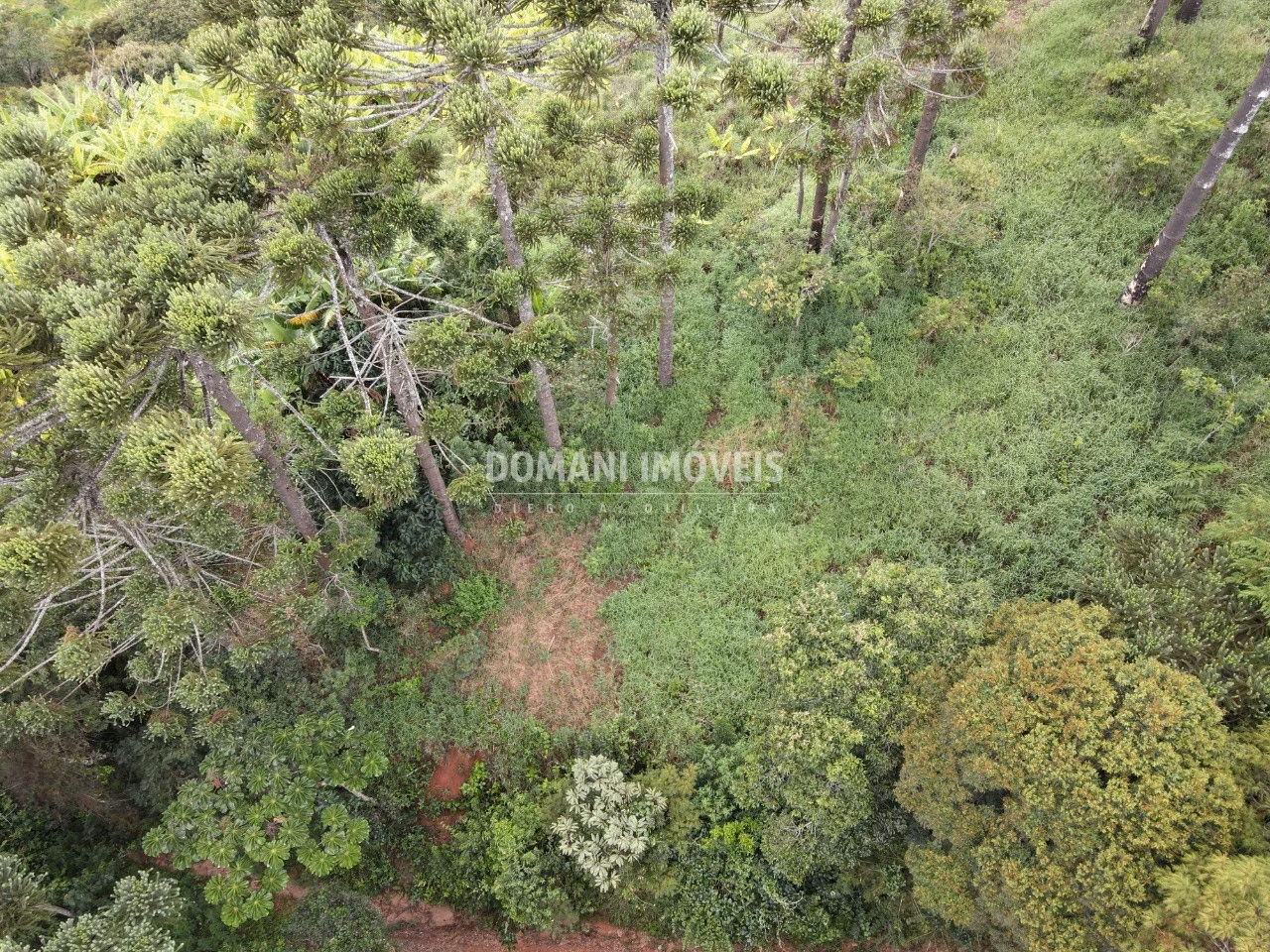 Terreno de 4,100 m² em Campos do Jordão, SP