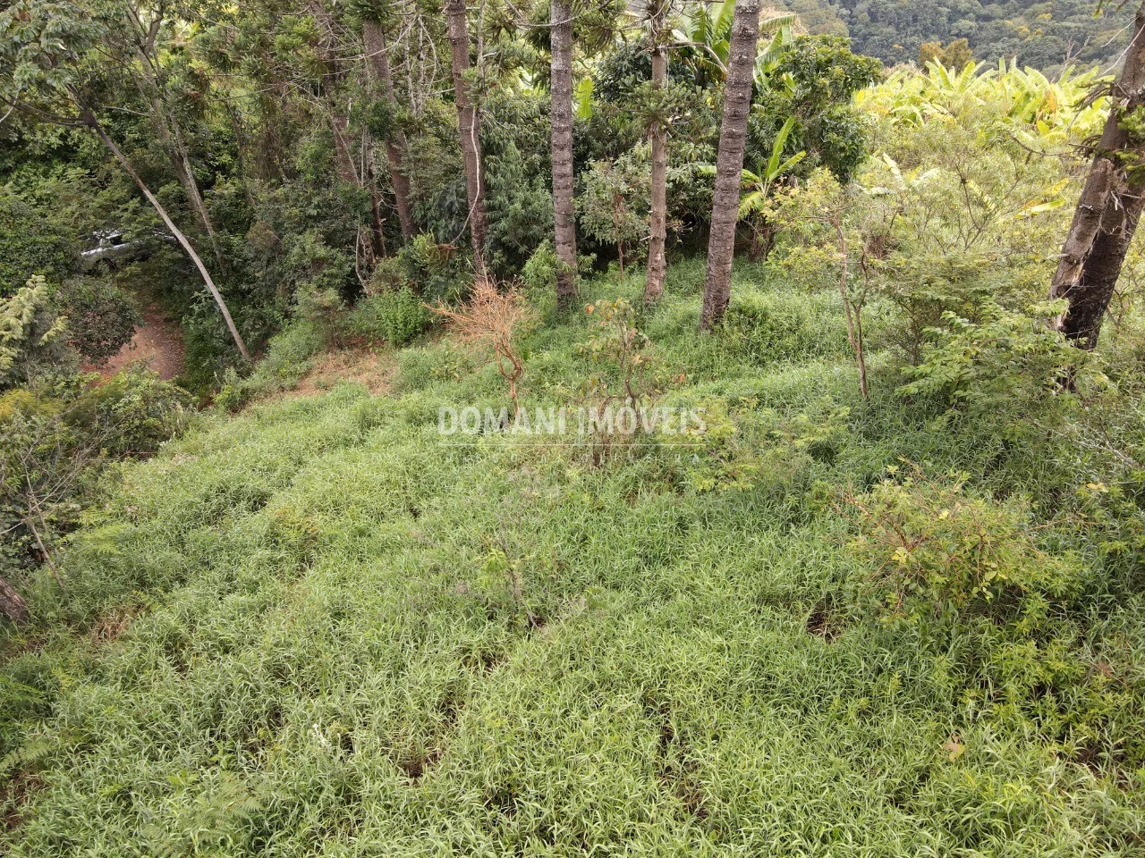 Terreno de 4,100 m² em Campos do Jordão, SP
