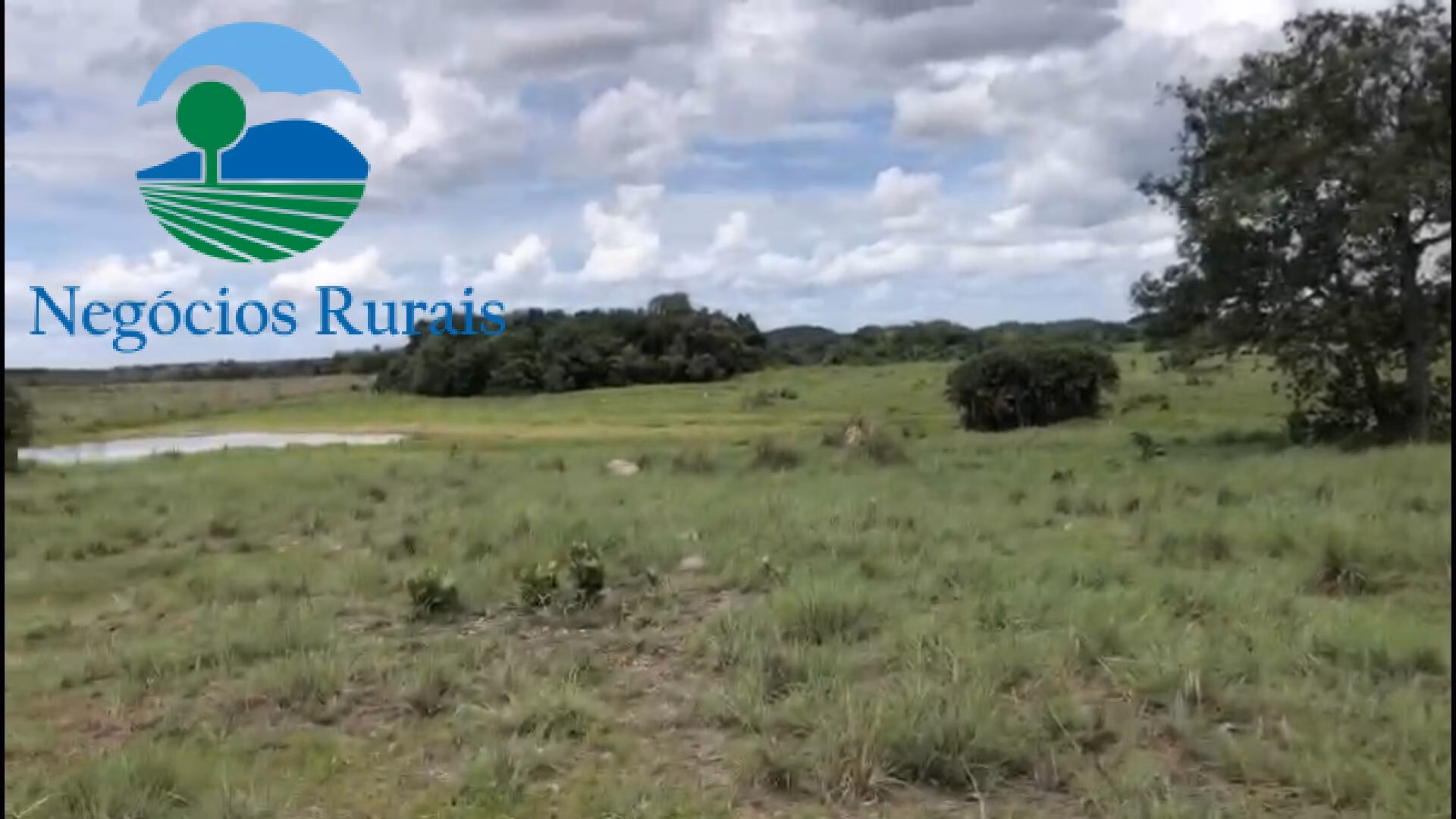 Fazenda de 2.178 ha em Crixás, GO