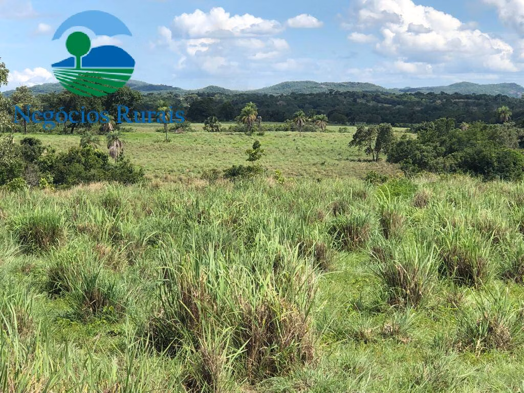 Fazenda de 2.178 ha em Crixás, GO