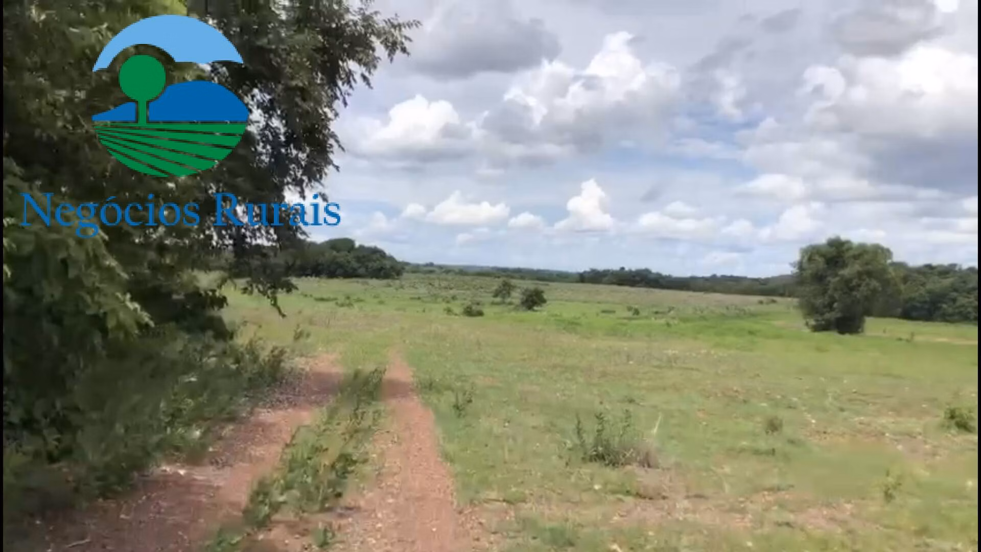 Fazenda de 2.178 ha em Crixás, GO
