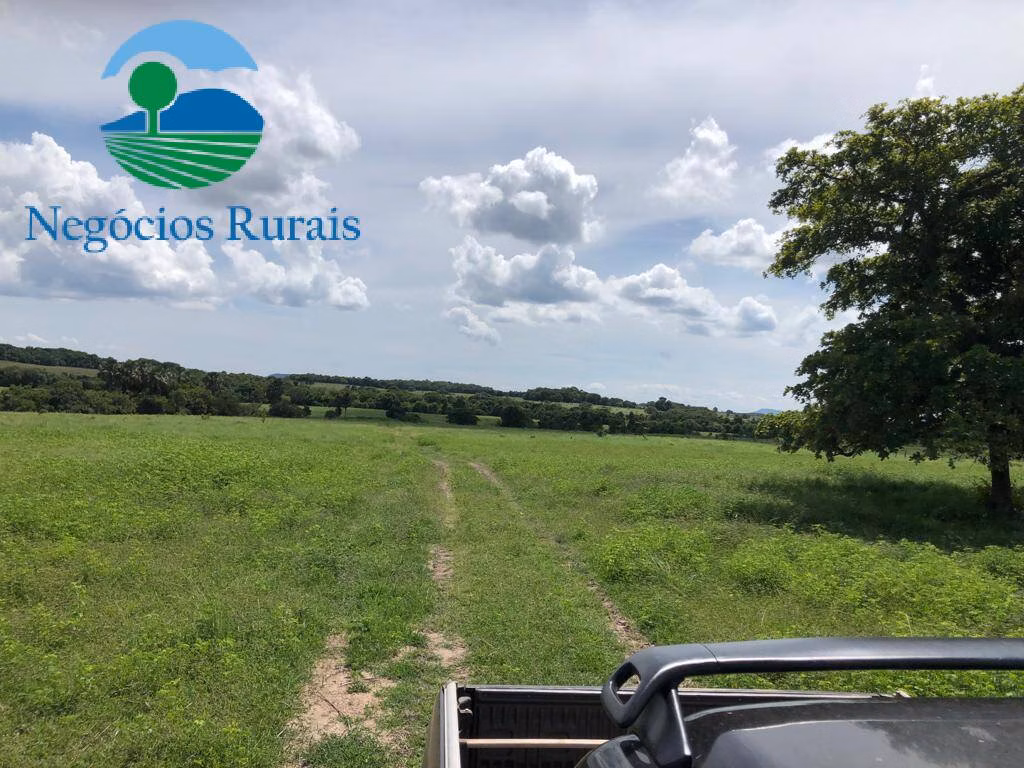 Fazenda de 2.178 ha em Crixás, GO