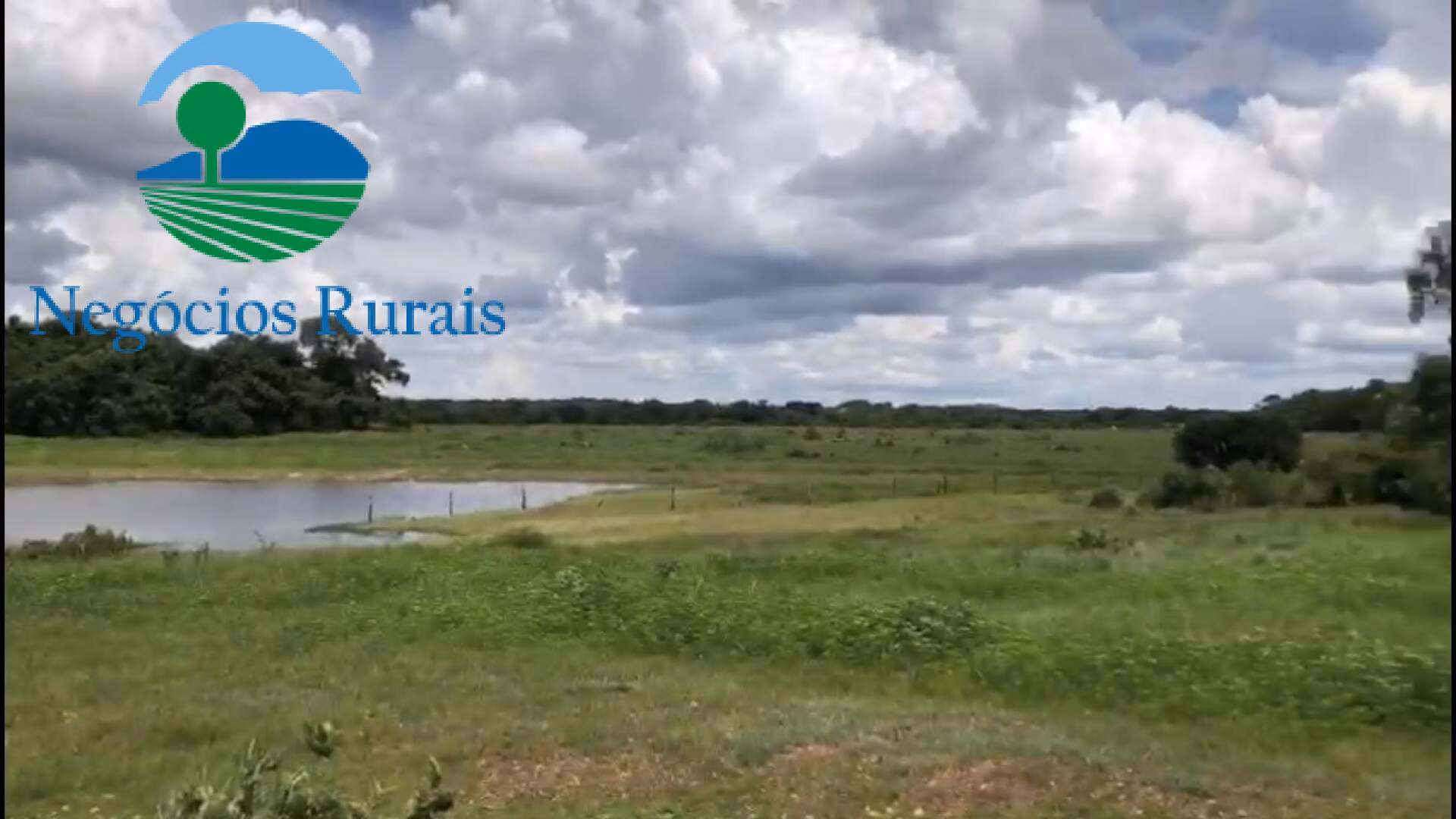 Fazenda de 2.178 ha em Crixás, GO