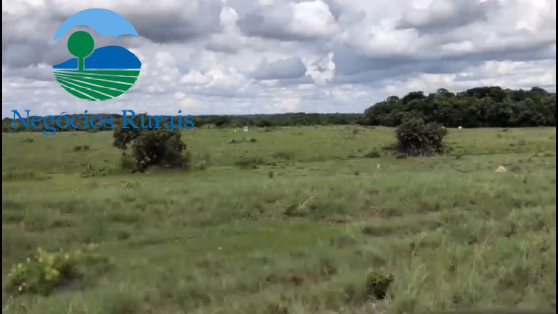 Fazenda de 2.178 ha em Crixás, GO