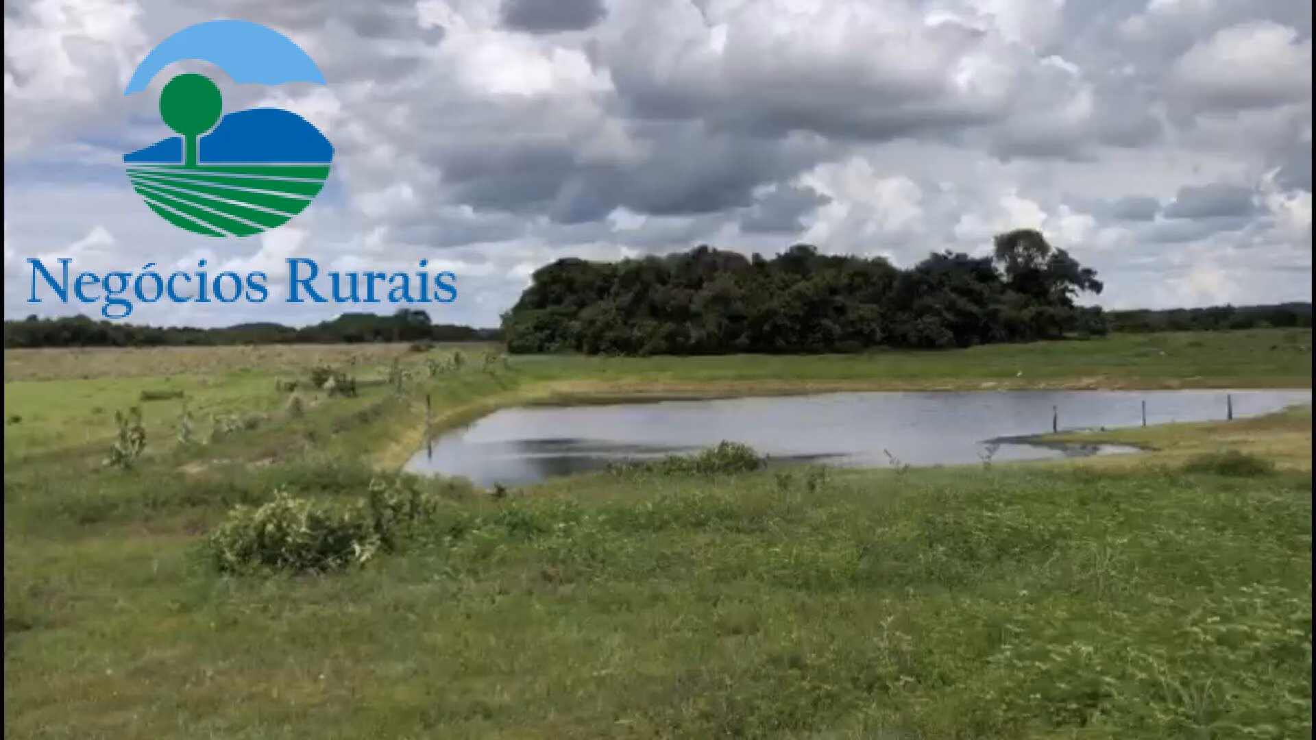 Fazenda de 2.178 ha em Crixás, GO