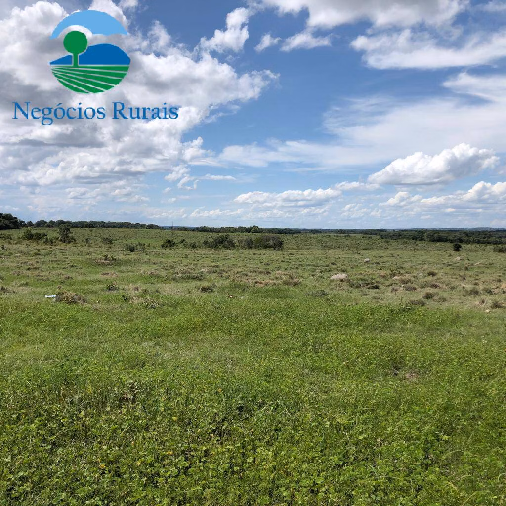 Fazenda de 2.178 ha em Crixás, GO