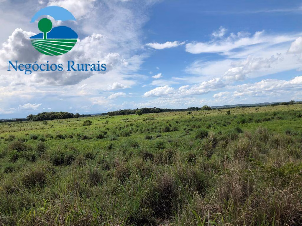 Fazenda de 2.178 ha em Crixás, GO
