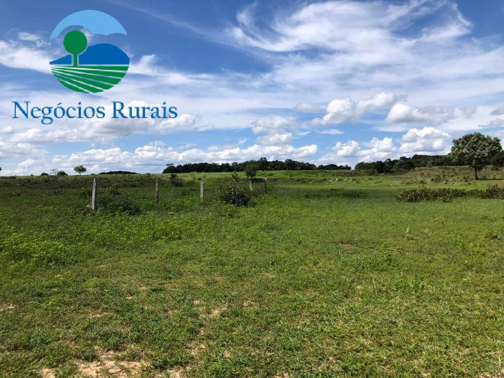 Fazenda de 2.178 ha em Crixás, GO