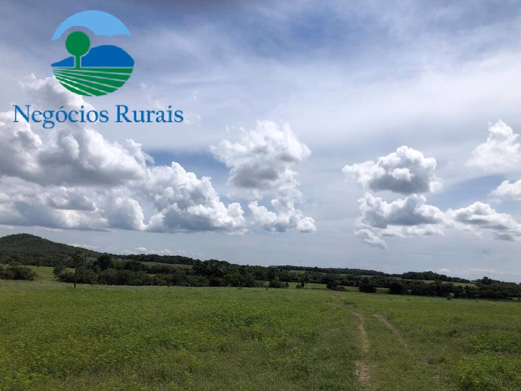 Fazenda de 2.178 ha em Crixás, GO