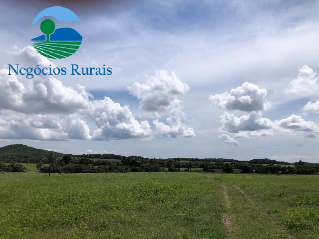 Fazenda de 2.178 ha em Crixás, GO