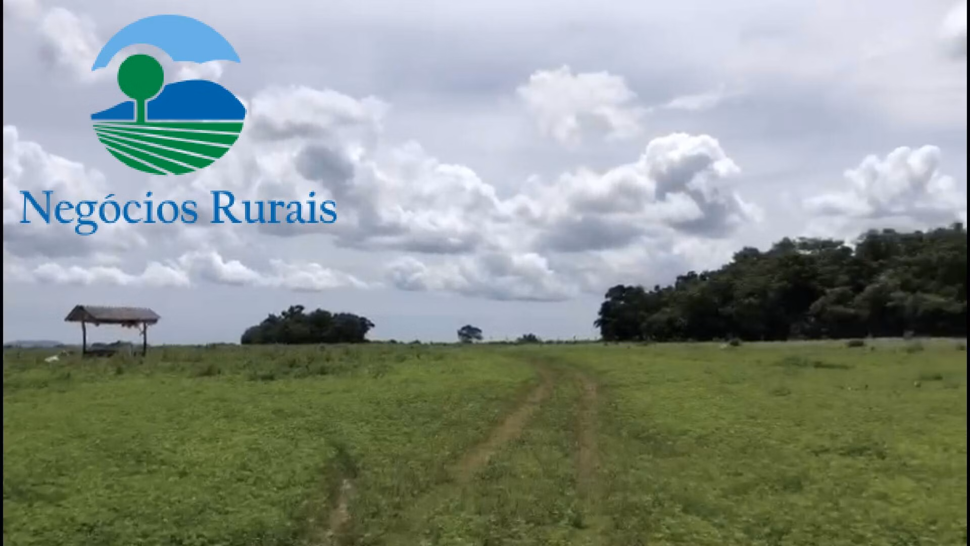 Fazenda de 2.178 ha em Crixás, GO