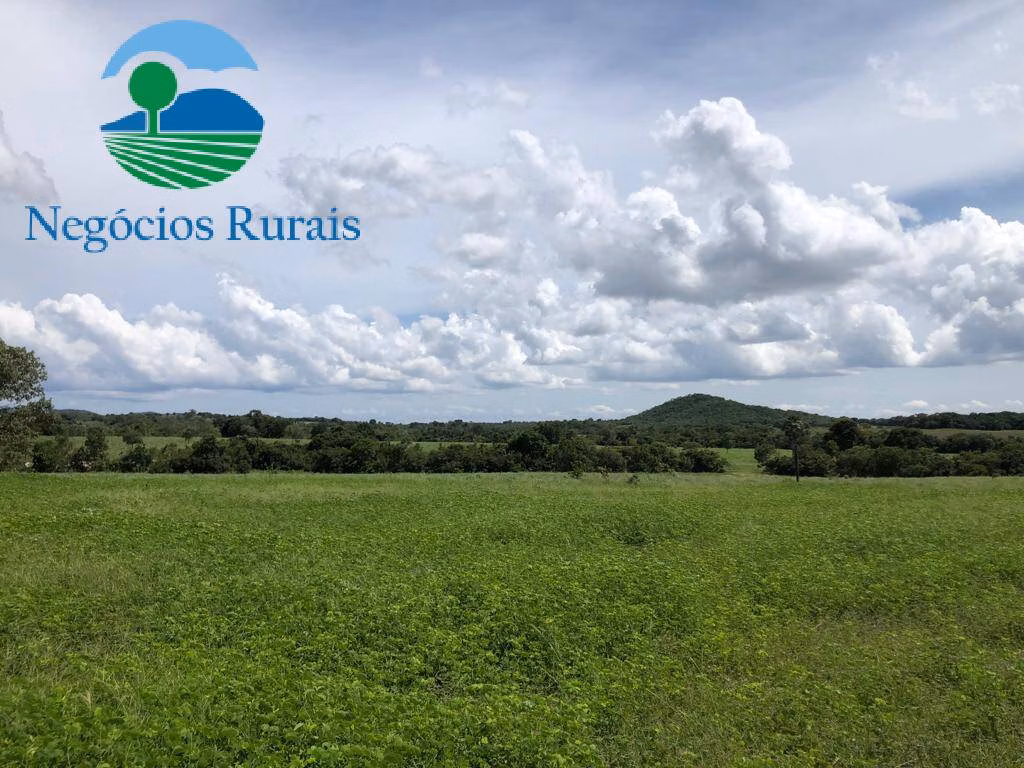 Fazenda de 2.178 ha em Crixás, GO