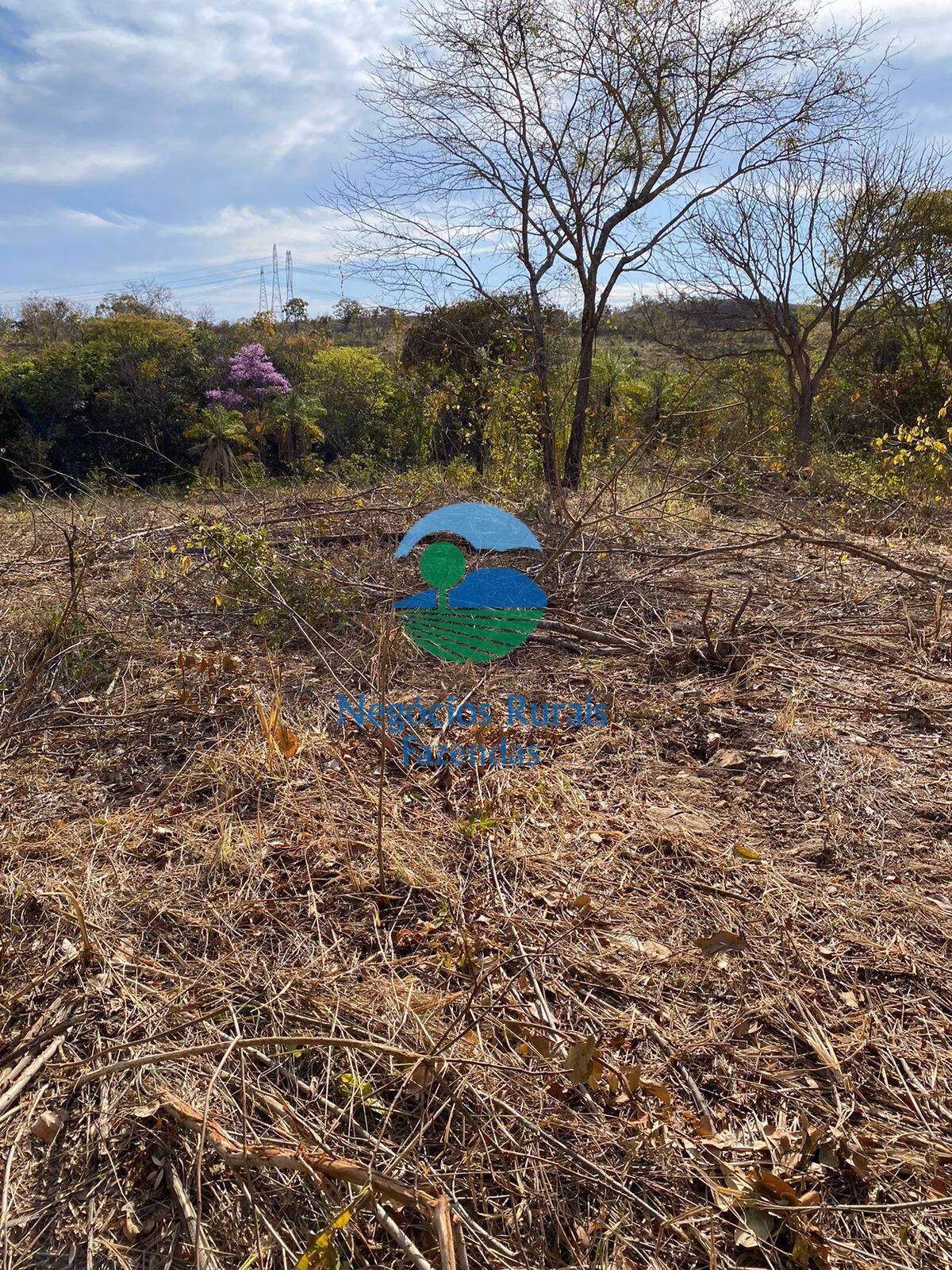 Fazenda de 160 ha em Niquelândia, GO