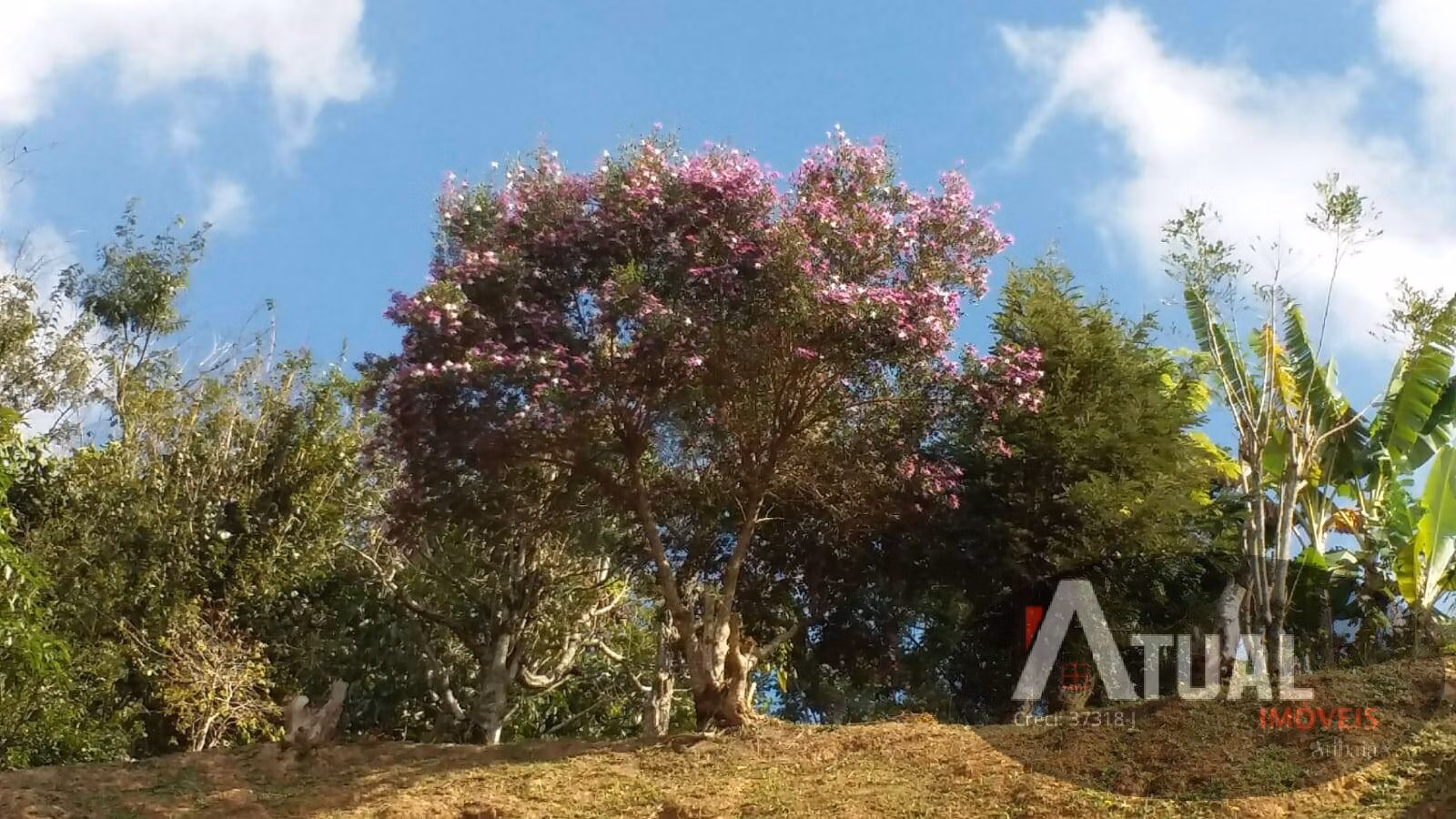 Country home of 1,012 m² in Mairiporã, SP, Brazil