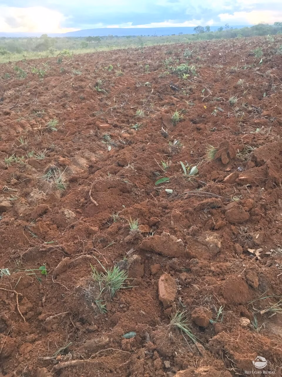 Fazenda de 332 ha em João Pinheiro, MG
